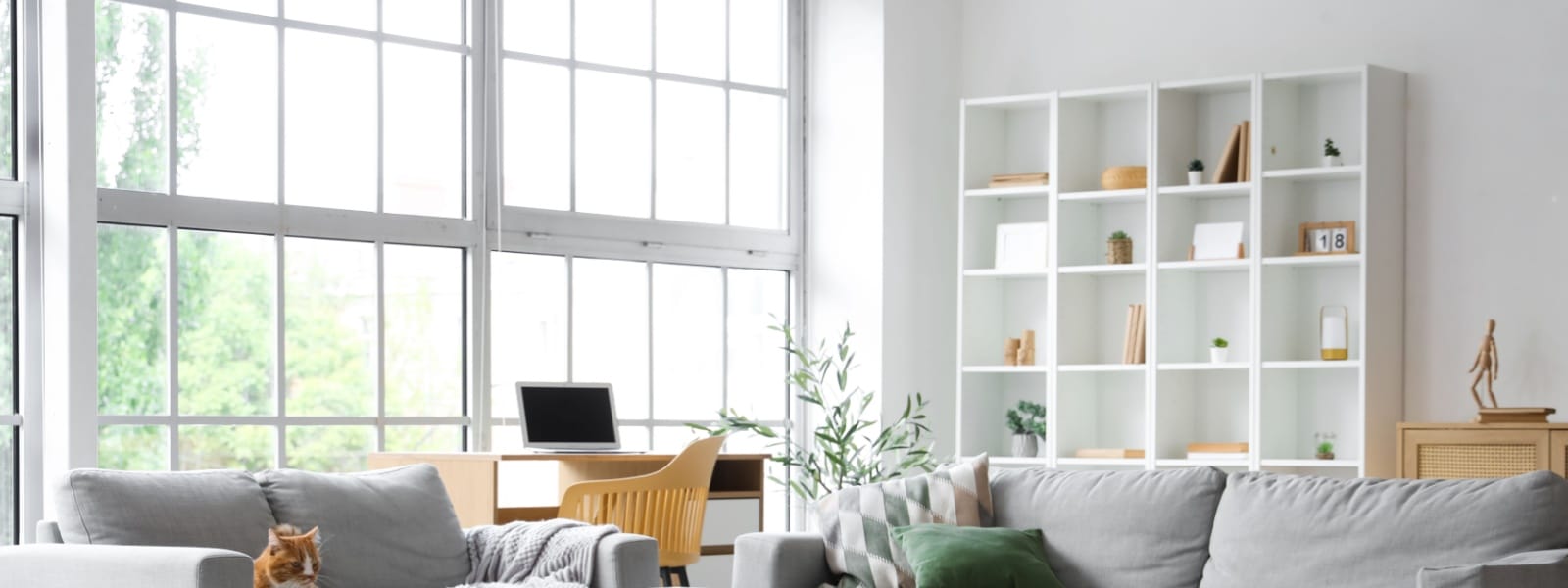 Climate Guard Windows